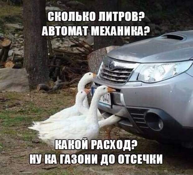 АВТОприкольные картинки для настроения (25 шт)
