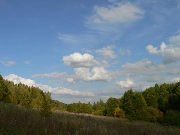 осень осень