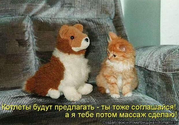 Мысли вслух :)