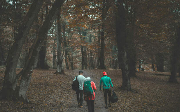 Почему в лесу не принято ходить группой. Рассказываем про правило четырех метров