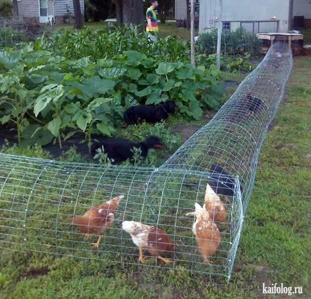 Фото приколы по-русски. Подборка - 279 (80 фото)