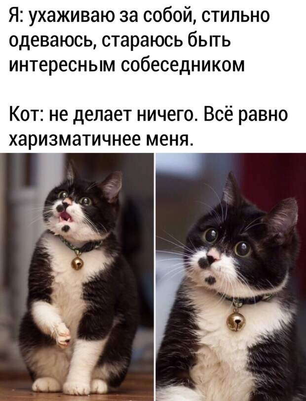 Милашка Милашка