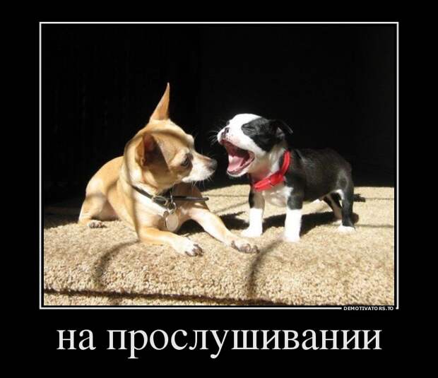 Демотиваторы  демотиваторы, прикол, смех, юмор