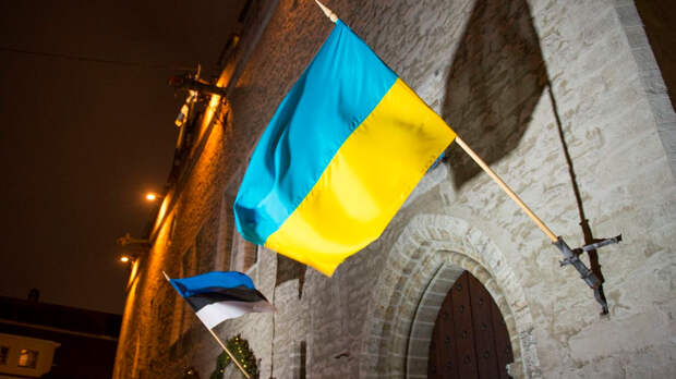В Эстонии предложили запретить украинские флаги на госучреждениях