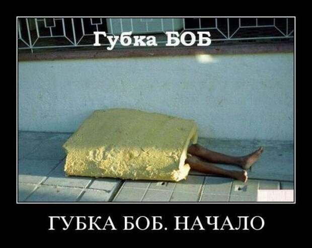 Демотиваторы (50 фото)