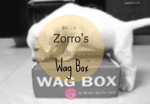Wag Box by Heads Up For Tails Unboxing