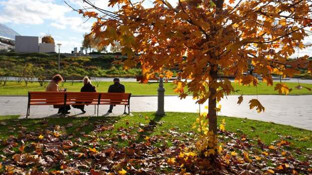 Центральное потепление: каких температурных рекордов ждать в ноябре