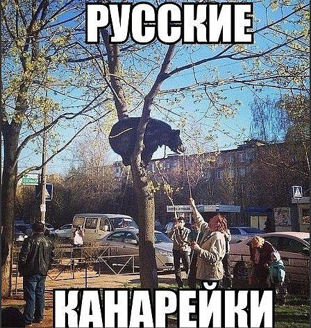 Смешные картинки с надписями прикол, юмор