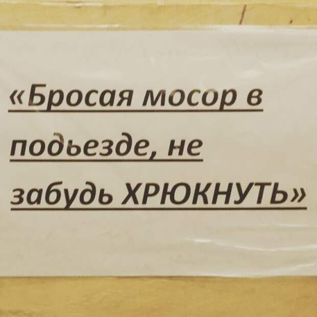 Смешные объявления и надписи в подъездах (20 фото)