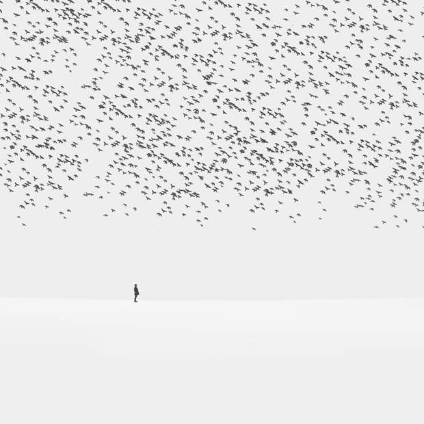 12 фотографий о достоинствах минимализма
