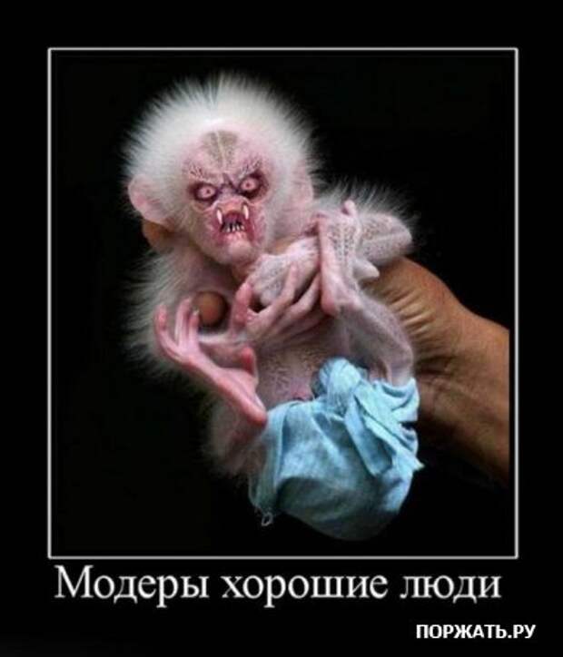 Коллекция демотиваторов