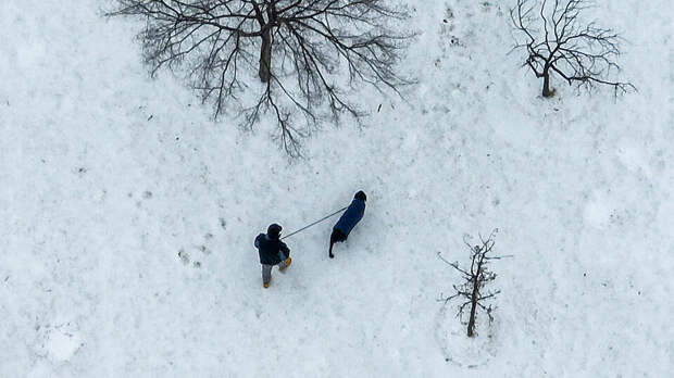 Семь человек замерзли насмерть в Техасе из-за снежного апокалипсиса