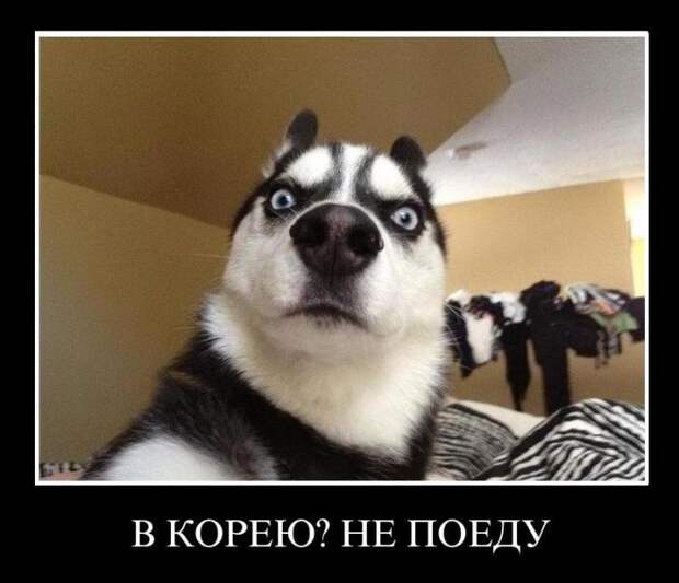 Демотиваторы (30 фото)