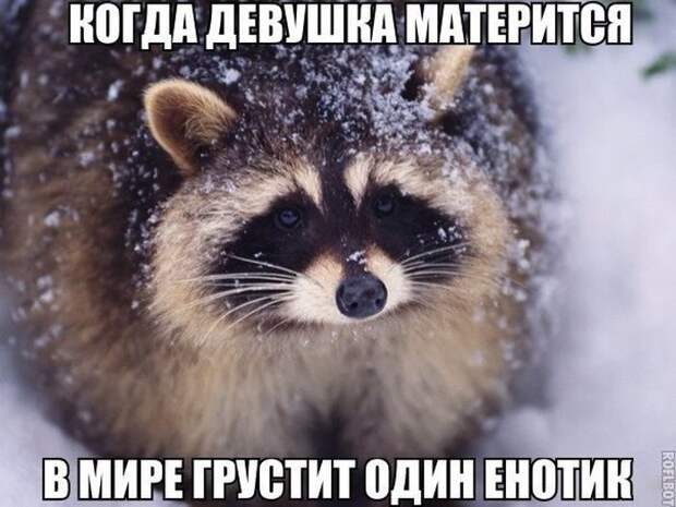 Картинки с забавными подписями