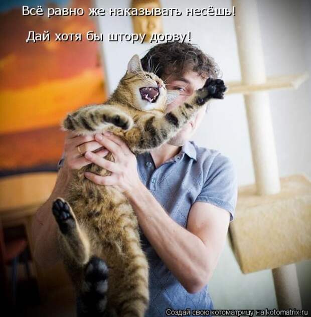 Лучшие котоматрицы недели