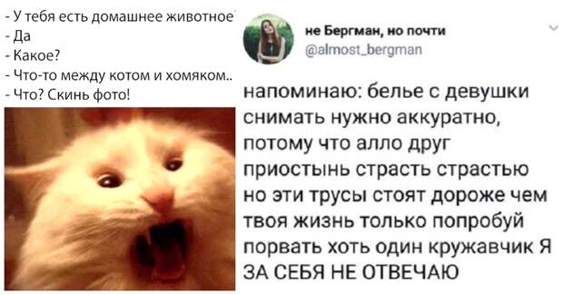 Вызывающие улыбку перлы из социальных сетей Вызывающие улыбку перлы из социальных сетей