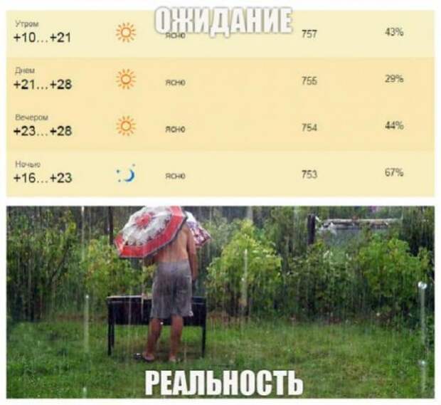 Поездка на шашлыки: ожидания vs. реальность (12 фото)