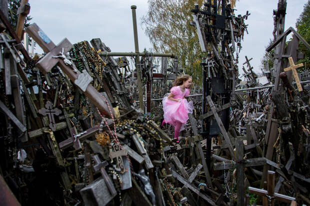 Победители конкурса от National Geographic в 2015 году