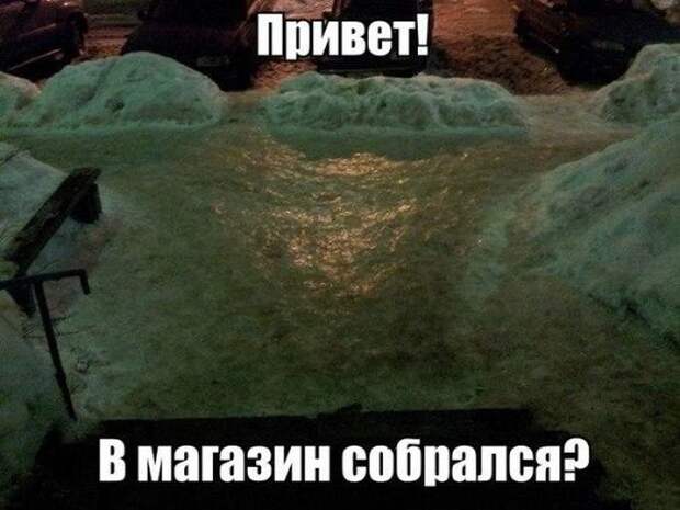 Картинки со смешными подписями картинки, юмор