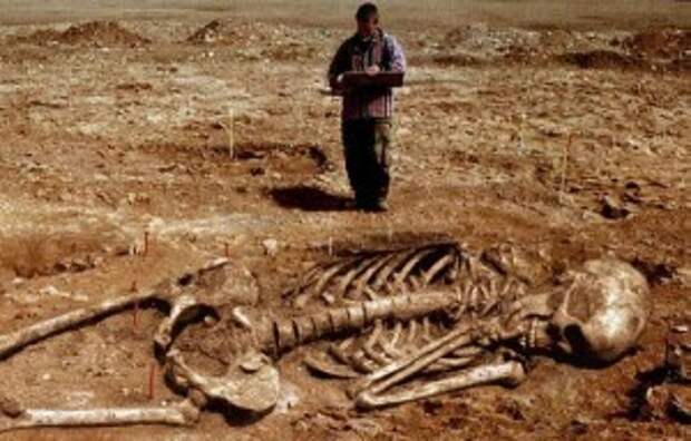 skeleton-2