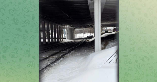 Nissan вылетел на рельсы и парализовал движение на МЦД-2