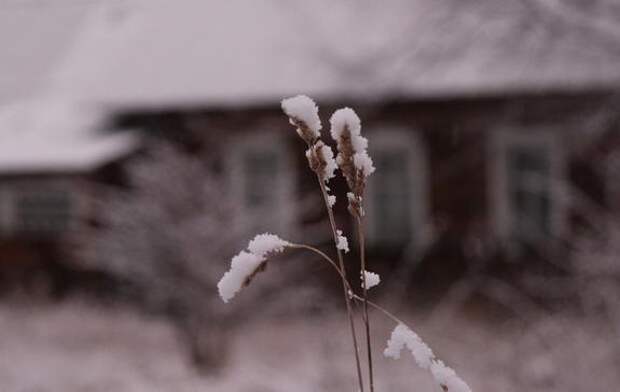 Суд отменил льготную продажу 30 земельных участков компании «Приозерное»
