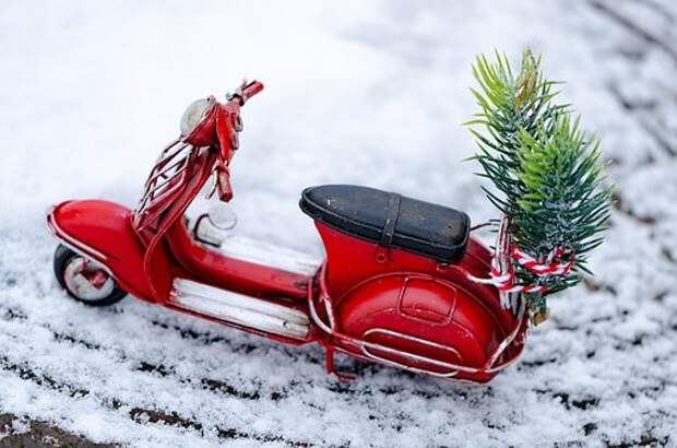 Зима / фото: pixabay.com