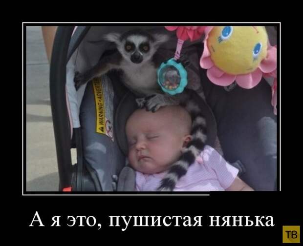Подборка демотиваторов 30. 10. 2014 (32 фото)