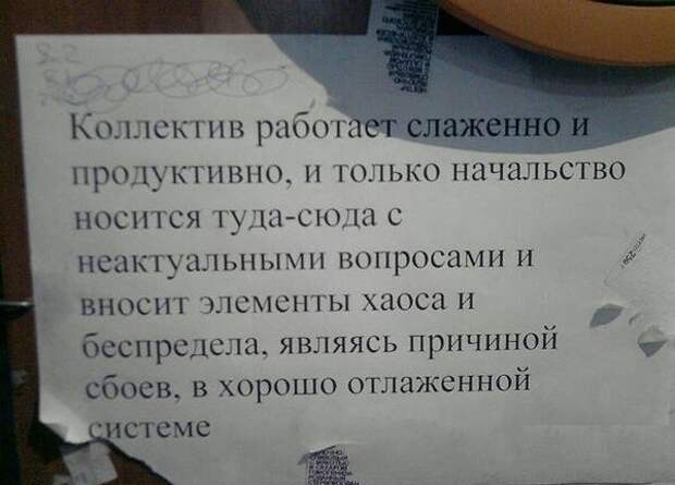 Смешные картинки с надписями прикол, юмор