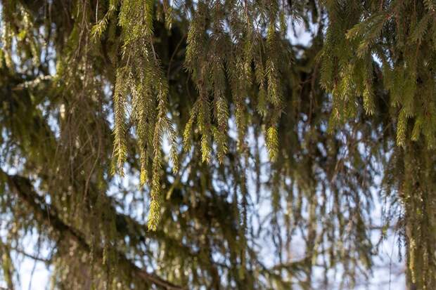 В Туле 21 марта продолжится магнитная буря и потеплеет до +8 градусов