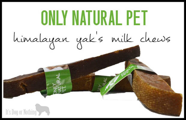 Only Natural Pet: Himalayan Yak's Milk Chews