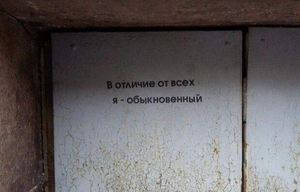 Прикольные картинки. Вечерний выпуск (53 фото)