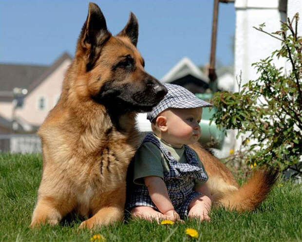 Не волнуйся, я всегда буду твоей защитой  дружба, ребенок, собака