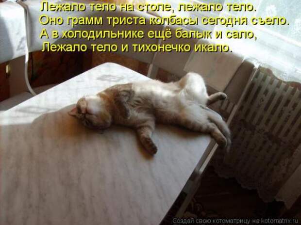 Котоматрицы