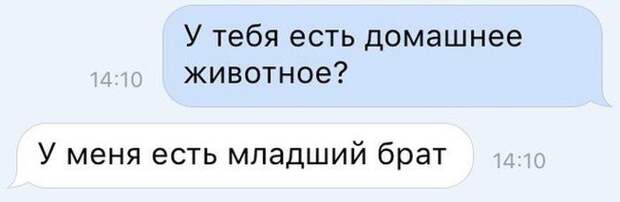 Прикольные картинки (107 фото)