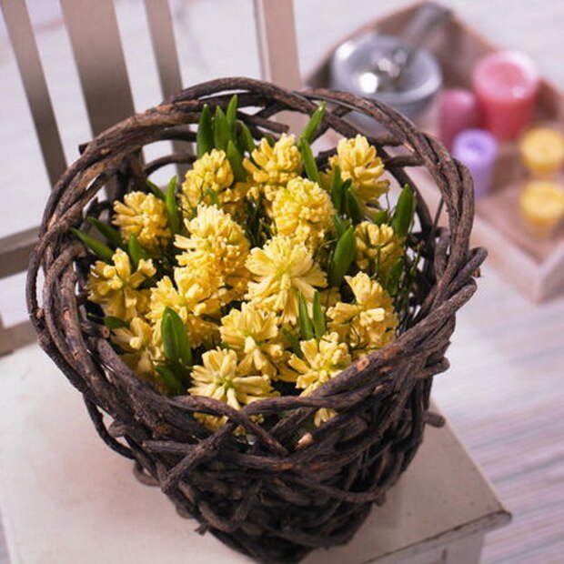 spring-flowers-creative-vases4-2-2