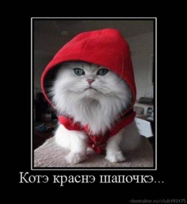 Димотиваторы прикол