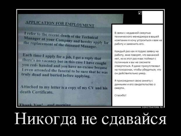 Демотиваторы демотиваторы