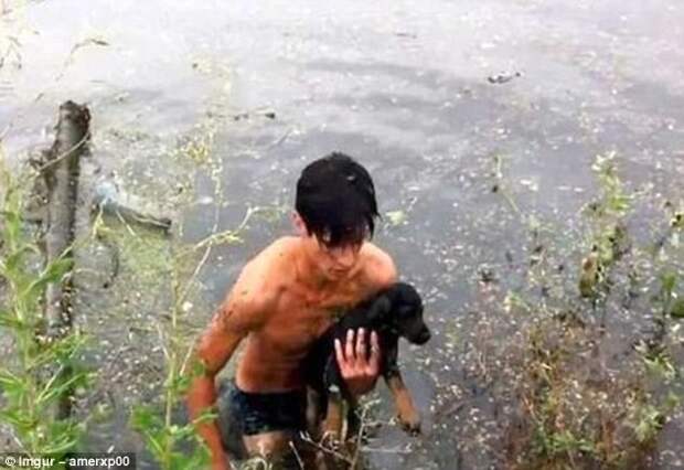 Парень из Одессы Владимир Максимов случайно заметил тонущего щенка, спас его, приютил и дал кличку Лаки (от англ. lucky - везучий) герои, животные, несчастный случай, опасность, спасатели, спасение, уважение, фото