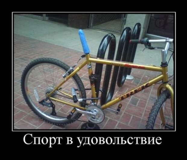 Смешные демотиваторы, классные фото.
