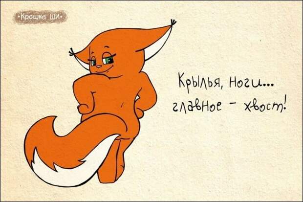 Девичья правда от белки Ши белка, рисунки