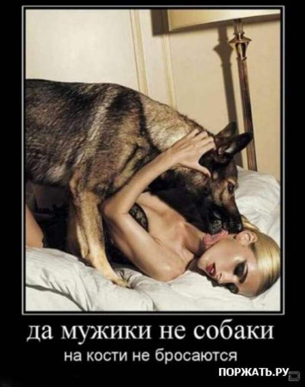 Демы как они есть