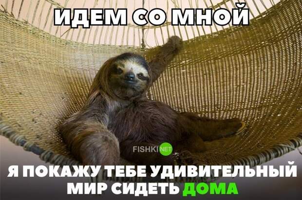 Картинки с надписями для настроения от TainT за 24 октября 2018 картинки с подписями, мэмы, подборка, позитив, юмор