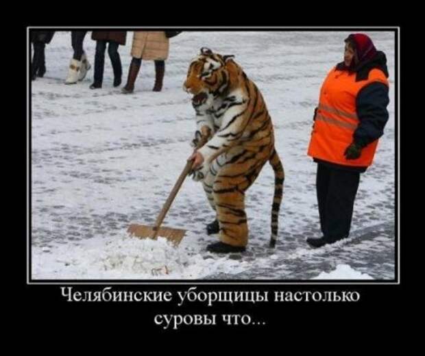 Демотиваторы- поулыбаться)