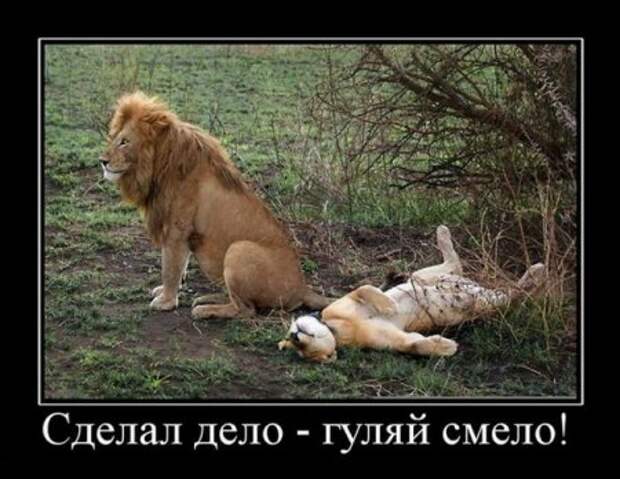 Демки прикольные