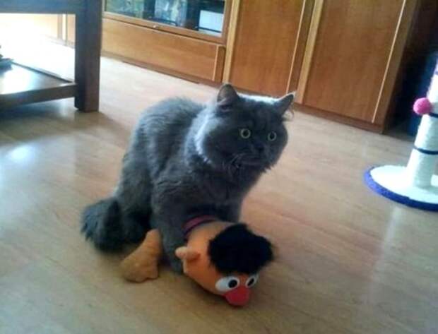 d418a8c40ed76b3bf4c9917001a_prev