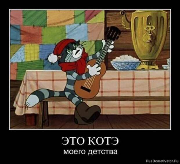 Демотиваторы про котЭ