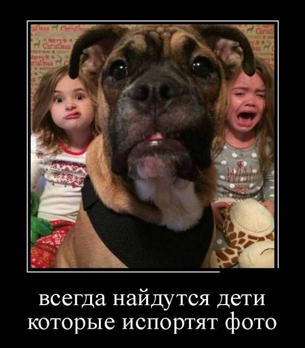 Демотиваторы (30 фото)