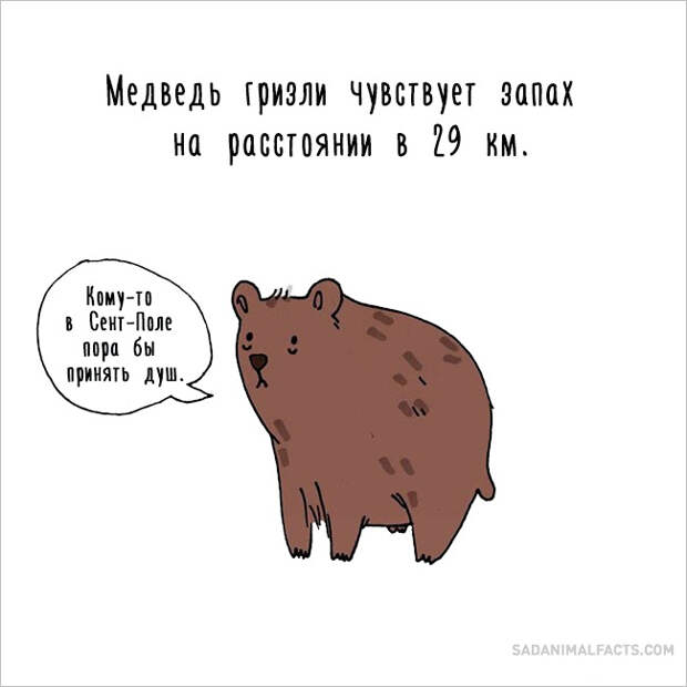 печальные факты о животных 