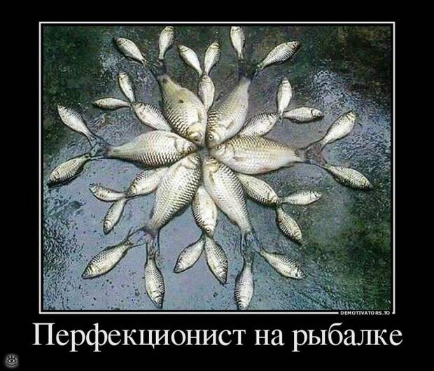 Не жадничай! 16